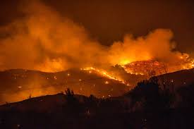 حريق غابات قبرص