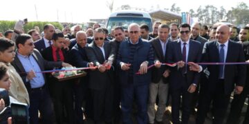 تمويل رؤوس الأبقار الحلاب