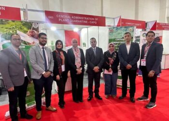 فوود أفريكا