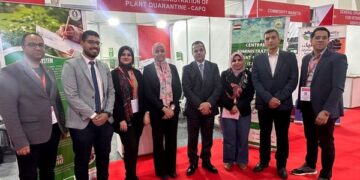 فوود أفريكا