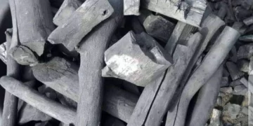 شركة قمة لتصدير الفحم النباتي