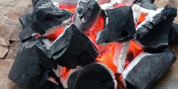 أفضل شركات الفحم الافريقي