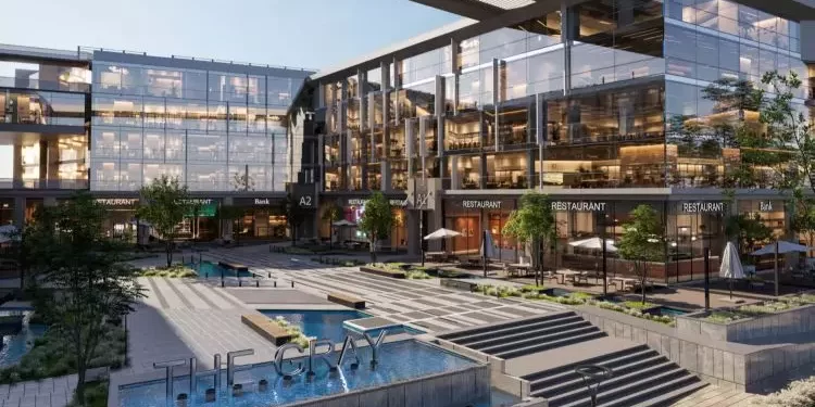 مول ذا جراي