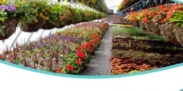 معرض الزهور الدولي