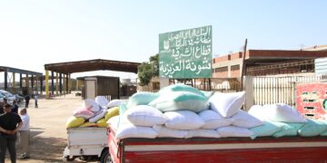 توريد القمح في شون البنك الزراعي بالشرقية