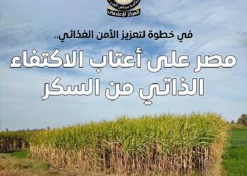 استيراد السكر