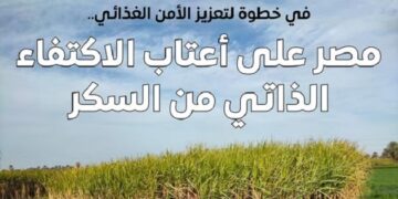 استيراد السكر