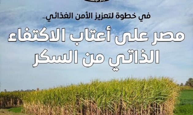 استيراد السكر