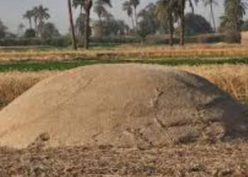 مخلفات القمح