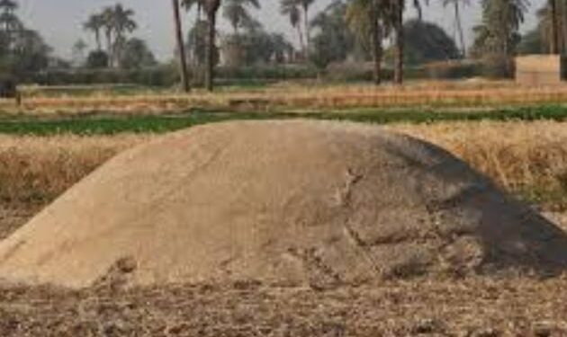 مخلفات القمح