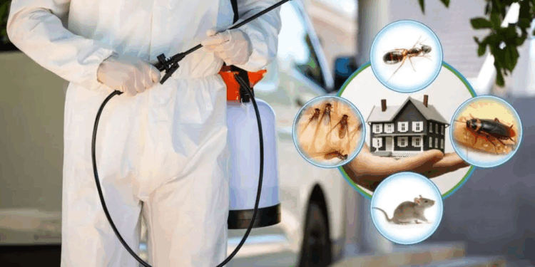 شركة رش مبيدات حشرية بالرياض