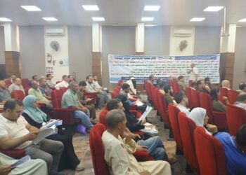 بني سويف الجديدة