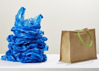 أكياس الصديقة للبيئة