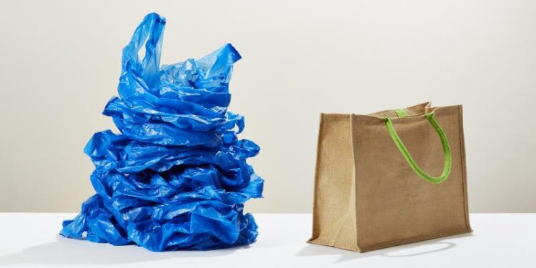 أكياس الصديقة للبيئة