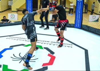 فنون القتال