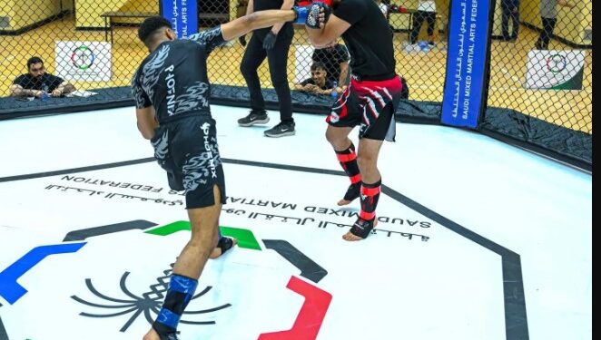 فنون القتال