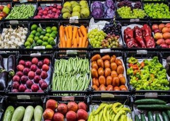 سلامة الغذاء