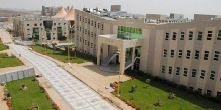 جامعة جدة