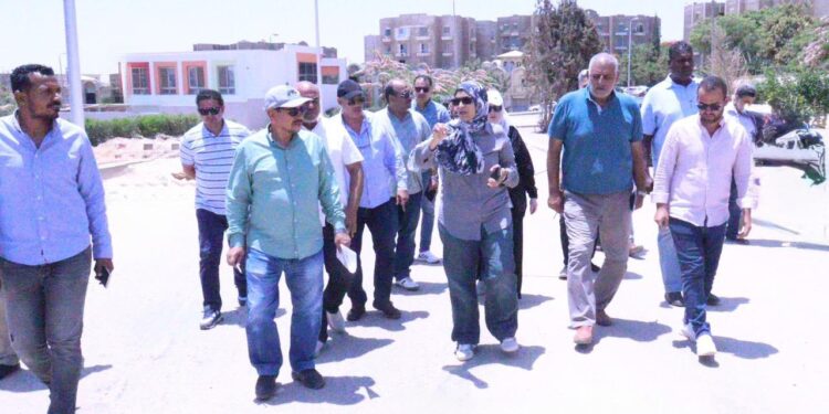 جهاز مدينة الشيخ زايد