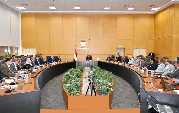 المشروعات السكنية