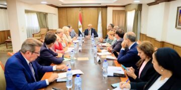 مدرسة مصرية فرنسية