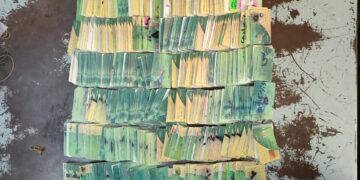 بطاقات تموينية