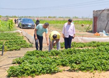 إدارة البساتين