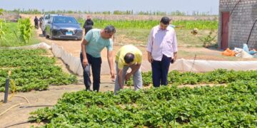 إدارة البساتين