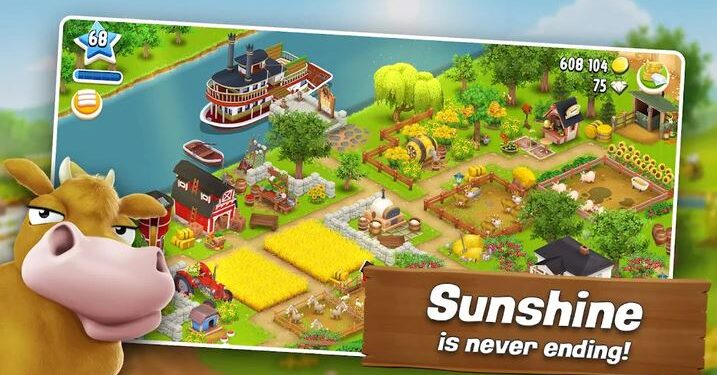 افضل متجر هاي داي