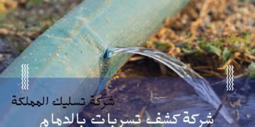 شركة تسليك المملكة