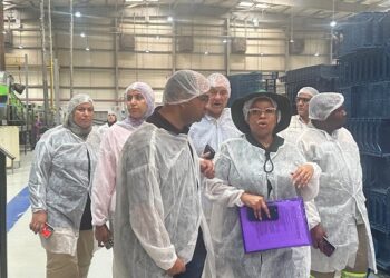 صادرات الرمان