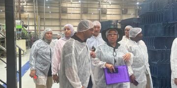 صادرات الرمان