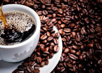 وجهتك الأولى لعالم بن قهوة مختصة و ادوات القهوة الاحترافية لدى متجر ايسنس